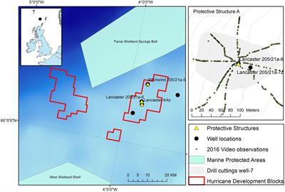 Ecological Role of an Offshore Industry Artificial Structure